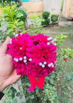 Load image into Gallery viewer, Fuchsia Hair Bloom | GAY-015
