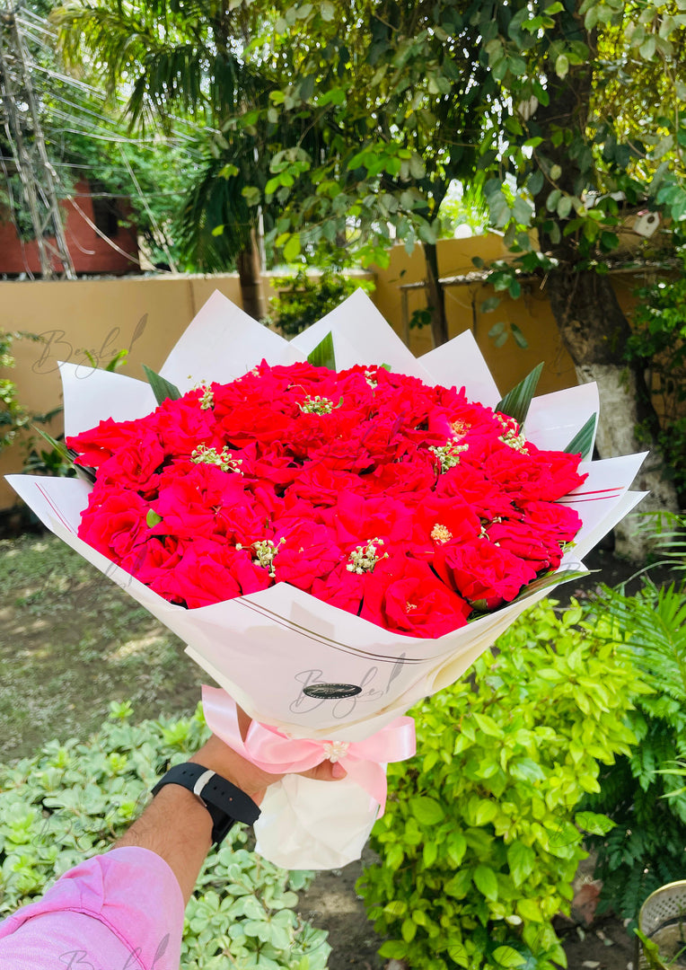 Bright Red Rose Bouquet with White Wrap | BCG-158