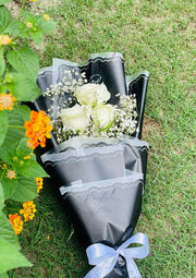 Black Beauty | BCG-177