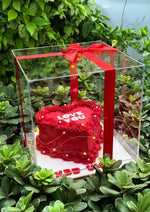 Load image into Gallery viewer, “Love You” Red Heart Cake in Acrylic Box | GC-070

