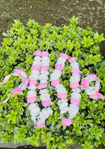 Load image into Gallery viewer, Rosy Bloom | DEL-129
