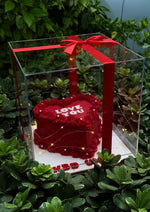 Load image into Gallery viewer, “Love You” Red Heart Cake in Acrylic Box | GC-070
