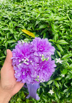 Load image into Gallery viewer, Purple Floral Gajray Set | GAY-012
