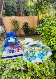 Blue Harmony Combo | GDEL-236