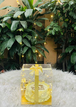 Load image into Gallery viewer, Princess Birthday Cake Box | CB-037