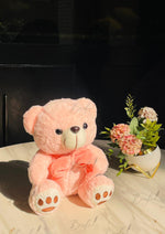 Load image into Gallery viewer, Blush Pink Teddy Bear | TD-013
