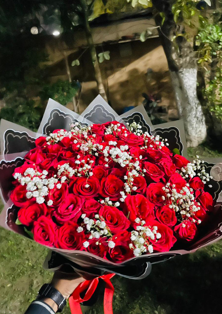 Rose Majesty | BCG-181