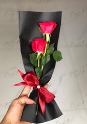 Scarlet Charm Rose Surprise | GDEL-058