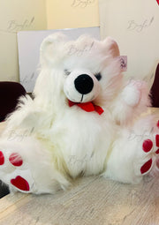 White Teddy with Red Bow | TD-001