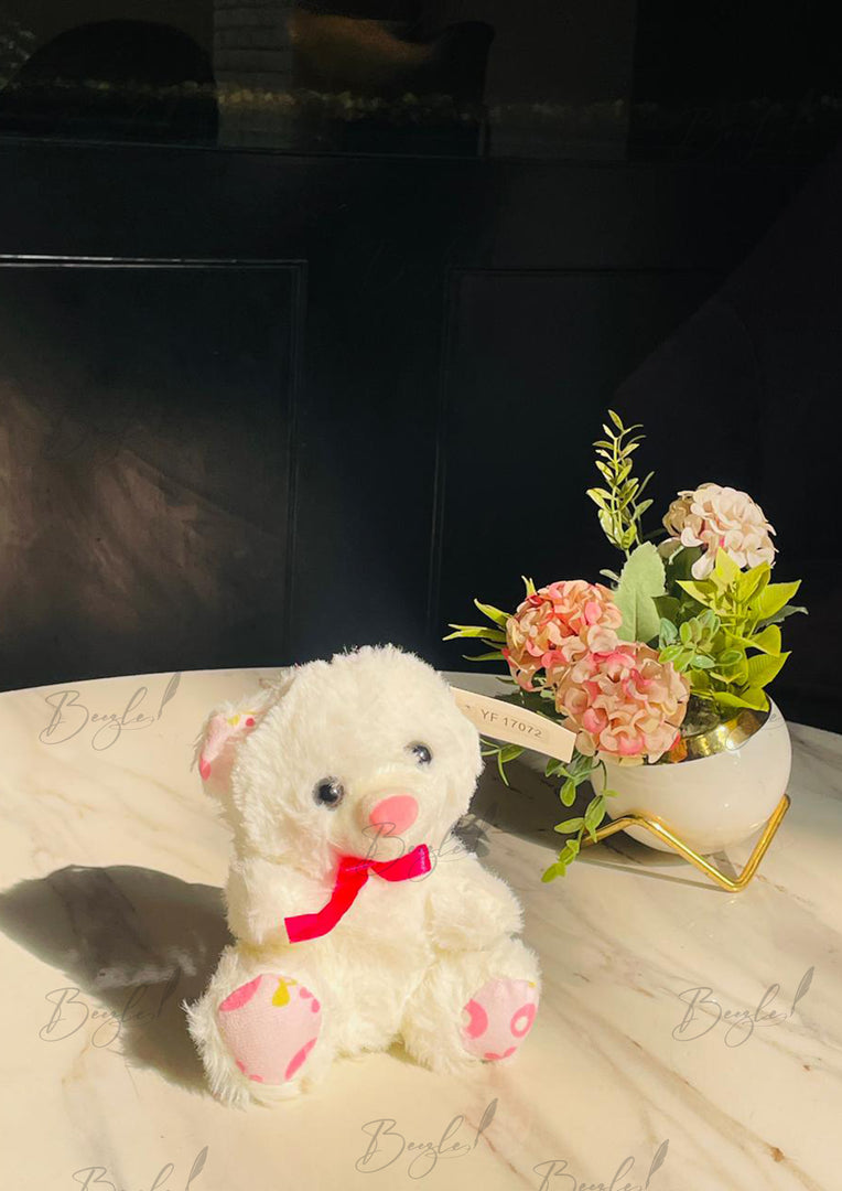 Cute Mini Teddy Bear | TD-014