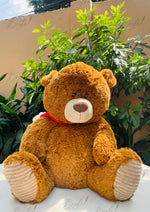 Load image into Gallery viewer, Brown Teddy Buddy | TD-009

