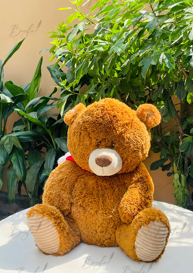 Brown Teddy Buddy | TD-009
