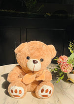 Load image into Gallery viewer, Brown Buddy | TD-010
