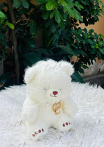 Load image into Gallery viewer, Fluffy Snow Teddy | TD-011
