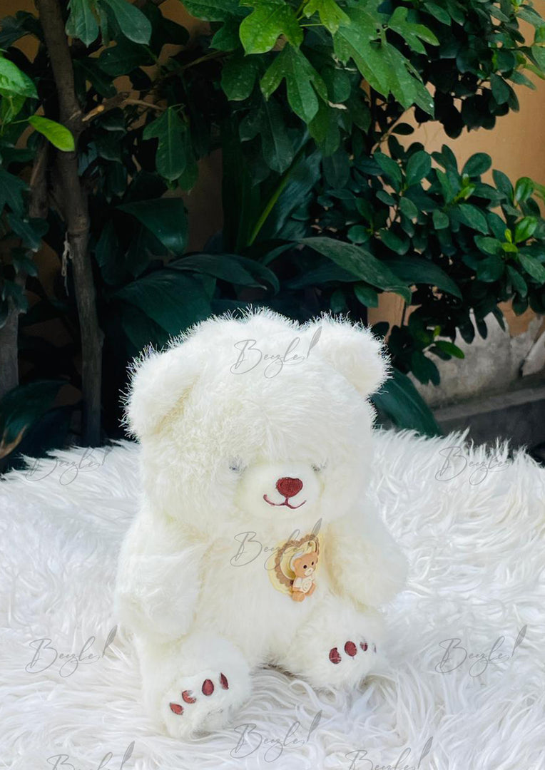 Fluffy Snow Teddy | TD-011