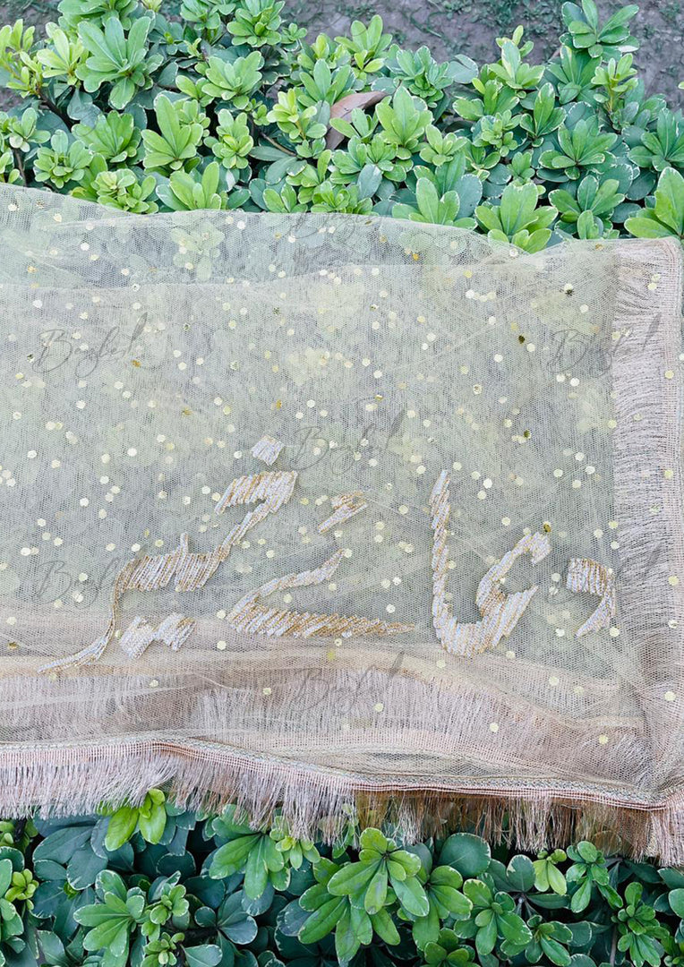 Golden Royal Touch Dupatta | DBT-012