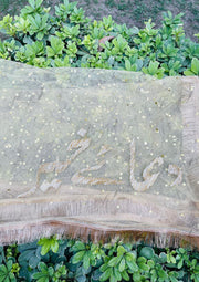 Golden Royal Touch Dupatta | DBT-012