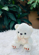 Load image into Gallery viewer, Cozy Cream Bear | TD-012

