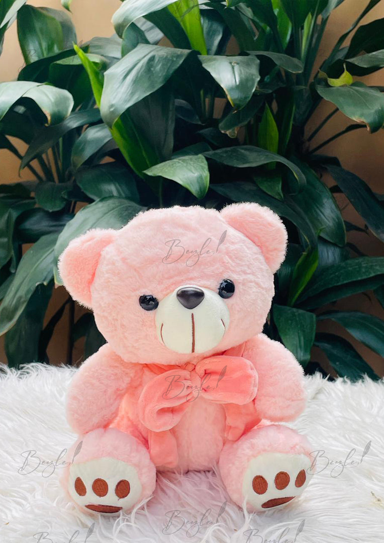 Blush Pink Teddy Bear | TD-013