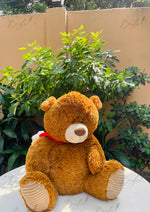 Load image into Gallery viewer, Brown Teddy Buddy | TD-009
