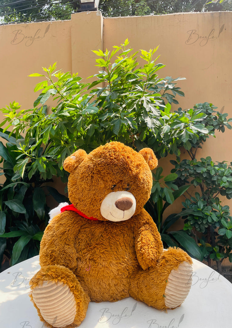 Brown Teddy Buddy | TD-009