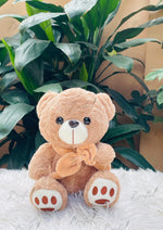 Load image into Gallery viewer, Brown Buddy | TD-010
