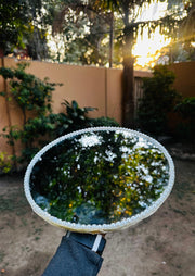 Engagement Ring Tray