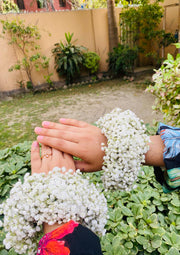 Baby Breath Gajray | GAY-023