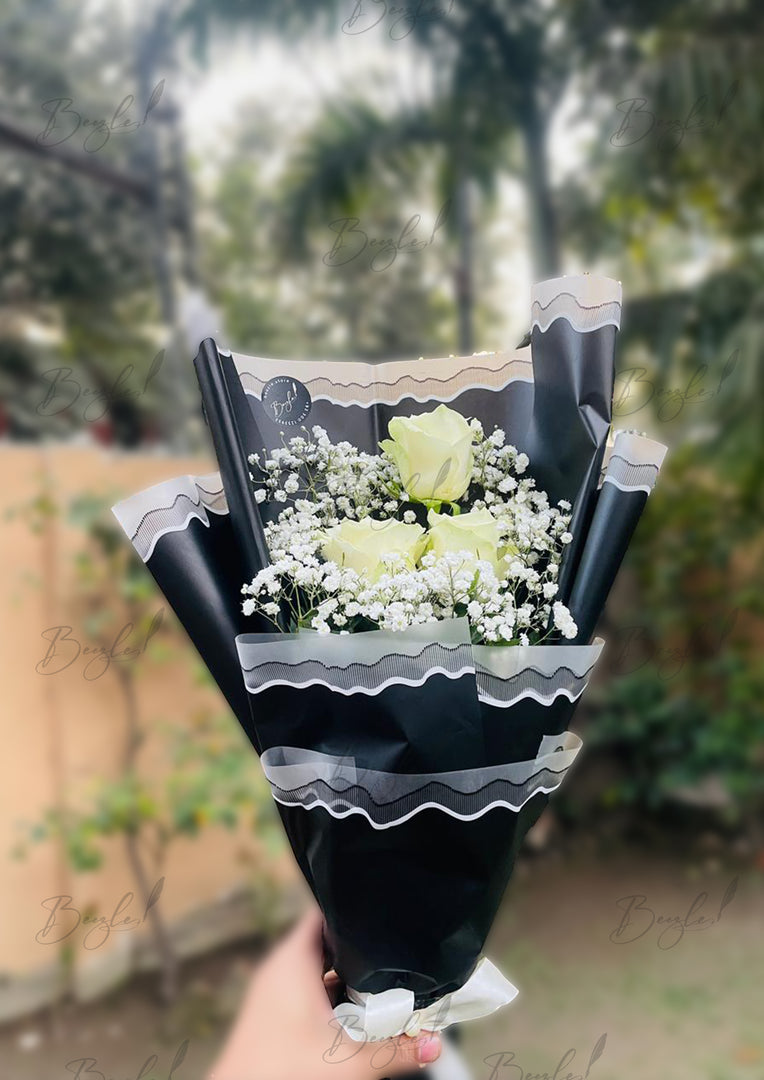 Black Beauty | BCG-177