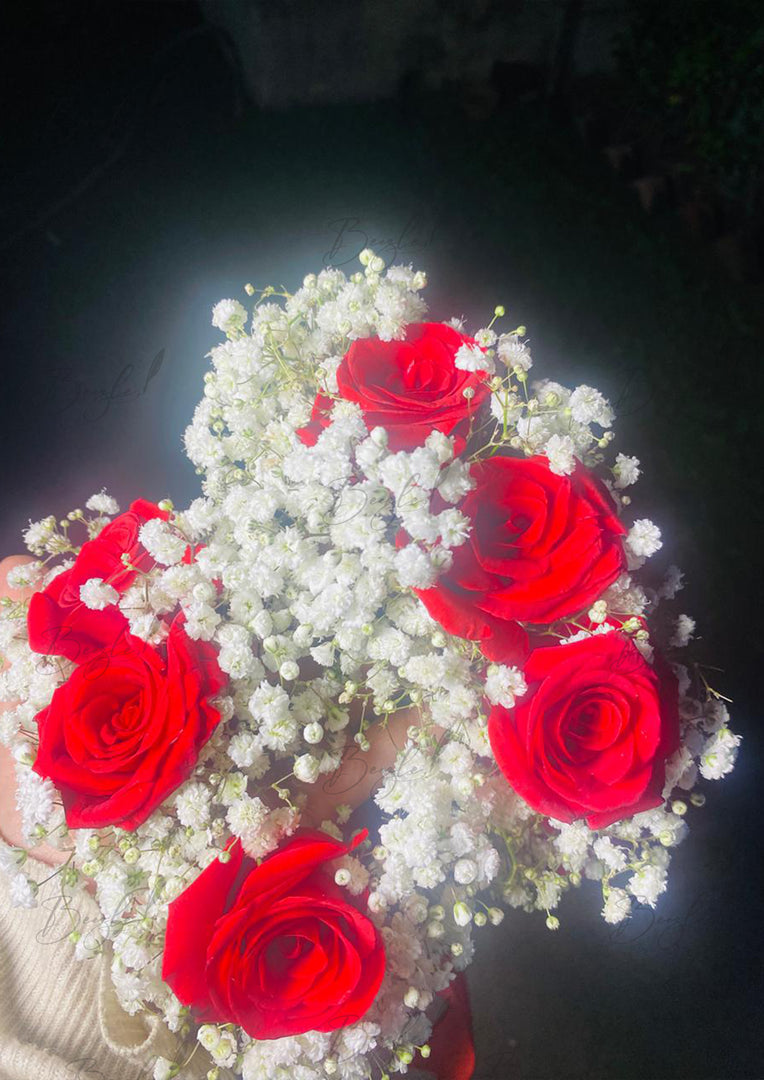 Scarlet Rosy Gajra | GAY-019