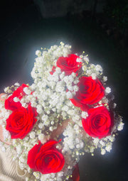 Scarlet Rosy Gajra | GAY-019