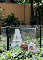 Load image into Gallery viewer, Custom Chocolate Cake in LED Display Gift Box | CB-004
