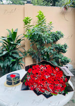 Load image into Gallery viewer, Nikkah Bliss | GDEL-209

