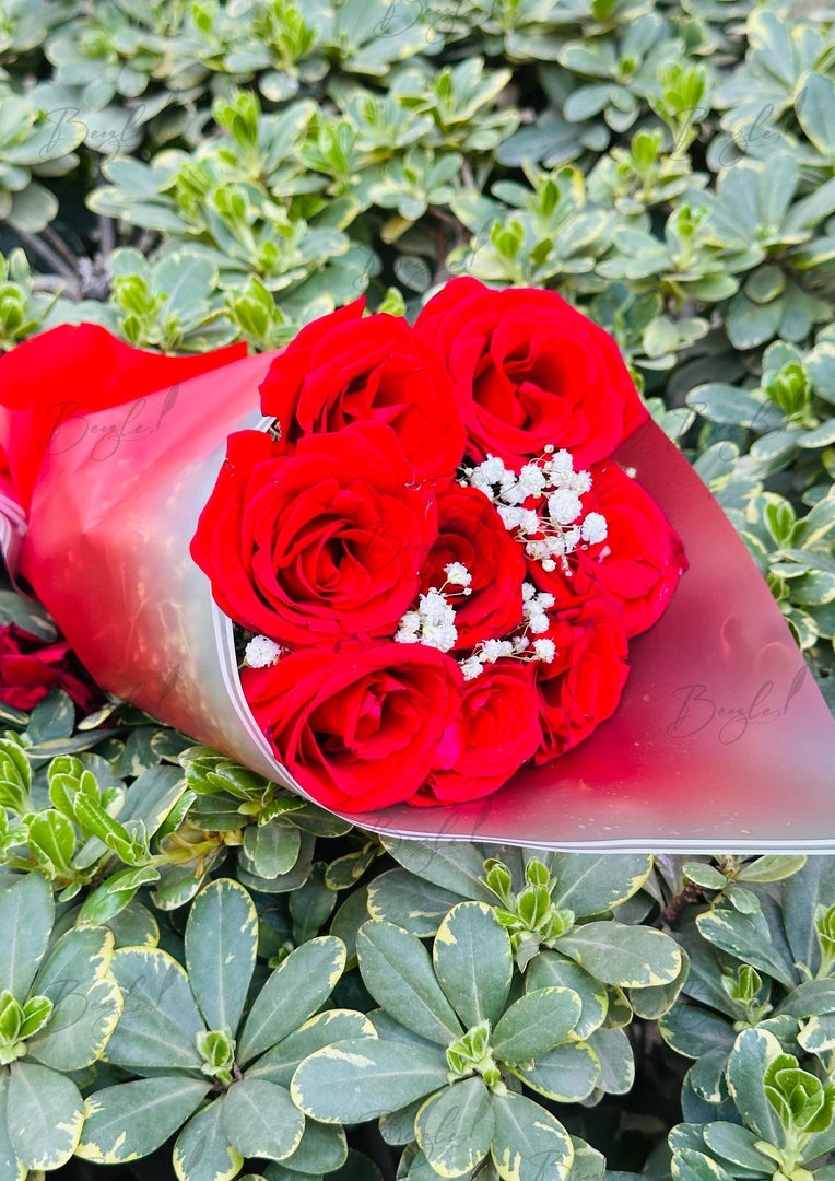 Classic Red Roses Bouquet | BCG-060