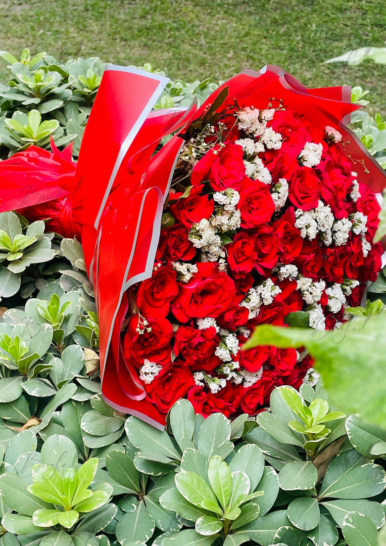 Red Rose Bouquet | BCG-102