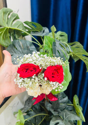 Rosy Grace Gajray | FFJ-007