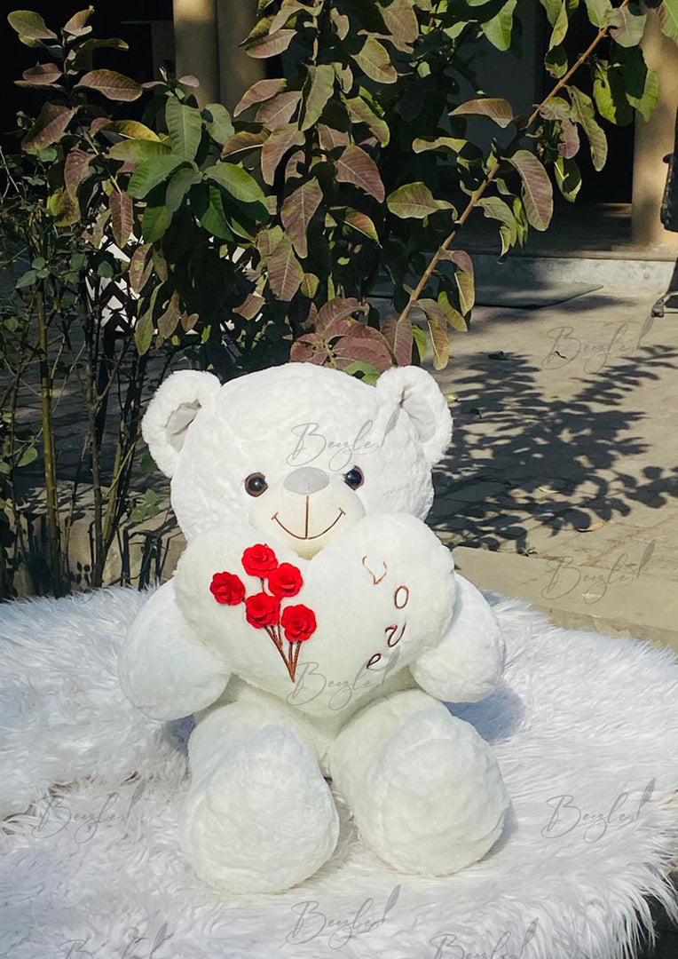 Lovely Teddy Bear | TD-017
