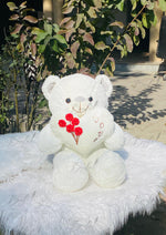 Load image into Gallery viewer, Lovely Teddy Bear | TD-017