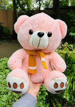 Load image into Gallery viewer, Cozy Pink Teddy | TD-028