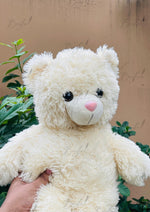 Load image into Gallery viewer, Soft Cuddle Bear | TD-008
