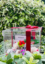 Load image into Gallery viewer, Crystal Clear Mother’s Day Acrylic Gift Box | GBO-080
