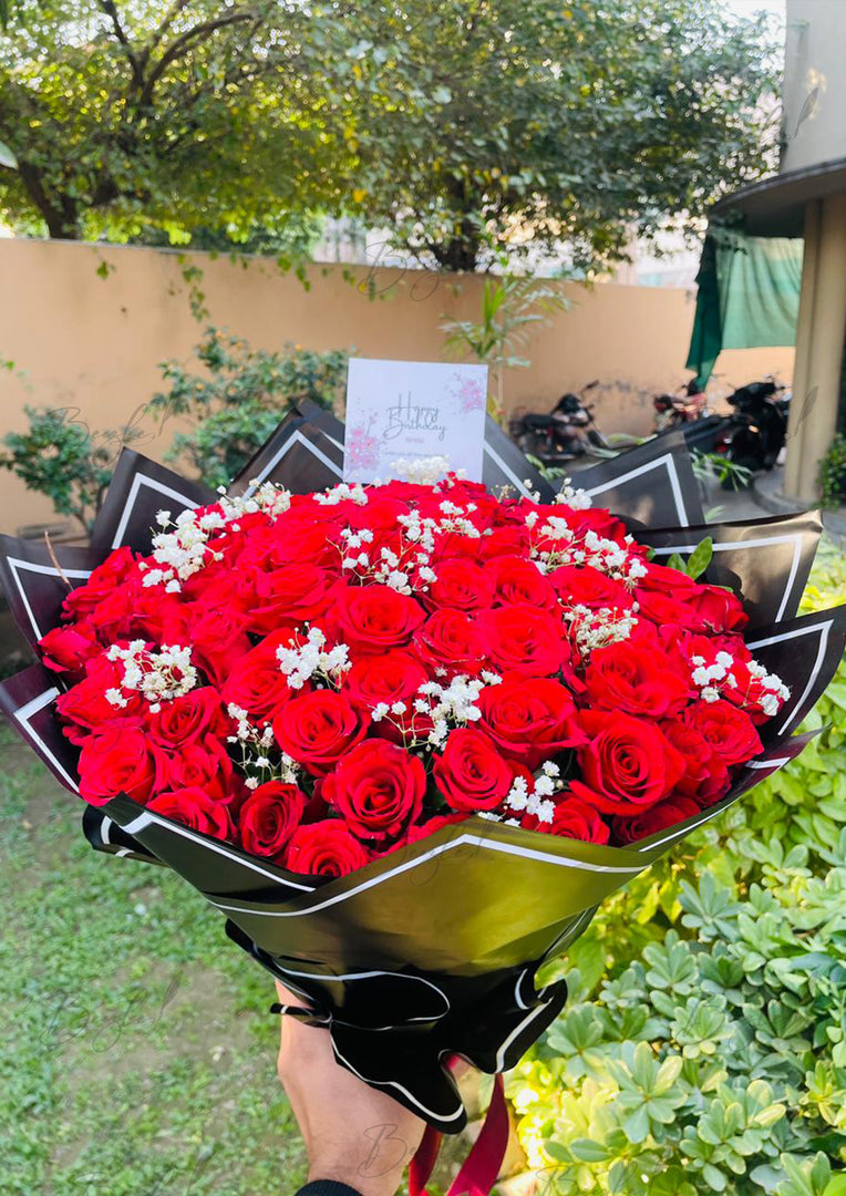 Rose Majesty | BCG-181