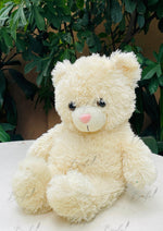 Load image into Gallery viewer, Soft Cuddle Bear | TD-008
