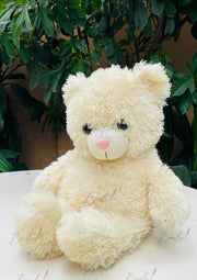 Soft Cuddle Bear | TD-008
