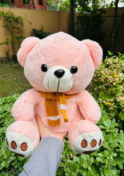 Cozy Pink Teddy | TD-028