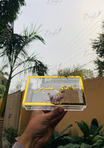 Load image into Gallery viewer, Custom Haq Mehar Box | HM-004