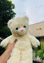 Load image into Gallery viewer, Soft Cuddle Bear | TD-008

