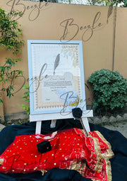 Nikah Frame, Nikah Pen, Nikah Dupatta, and Beautiful Rain Box