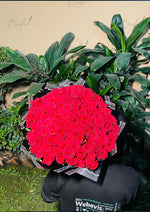 Load image into Gallery viewer, Luxurious Red Rose Bouquet | BCG-250
