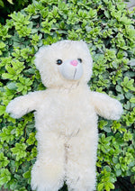 Load image into Gallery viewer, Soft Cuddle Bear | TD-008

